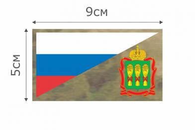 Ф058МОХ Патч МОХ Флаг РФ Пензенская область 5х9см  фото, описание