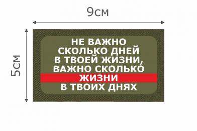 Т003О Патч Сколько дней 5х9см Олива фото, описание